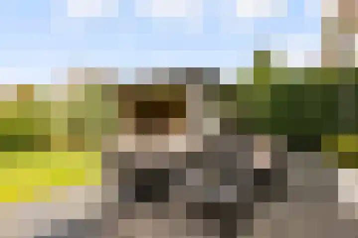 Maaspolder 58 Houten thumbnail 59