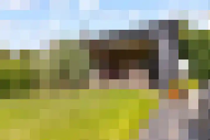 Maaspolder 58 Houten thumbnail 62