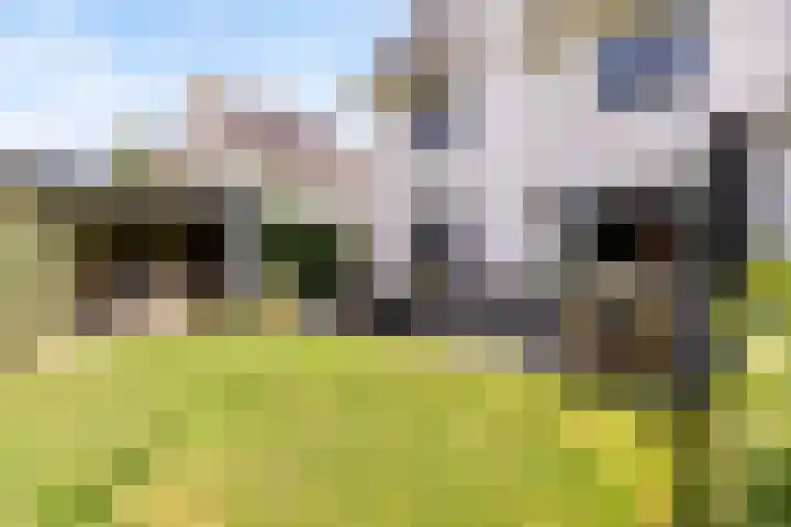 Maaspolder 58 Houten thumbnail 64