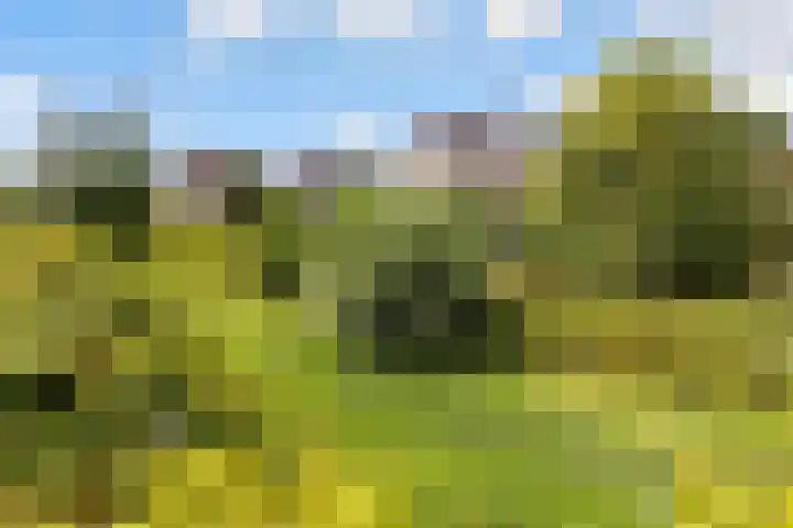 Maaspolder 58 Houten thumbnail 65
