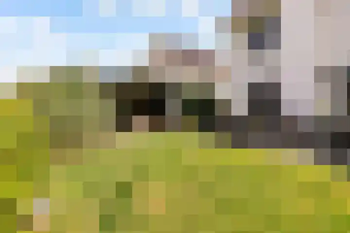 Maaspolder 58 Houten thumbnail 66