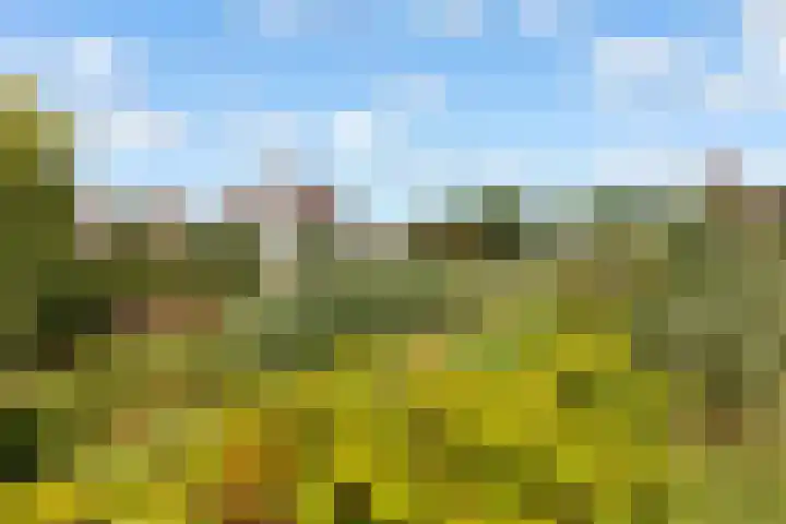 Maaspolder 58 Houten thumbnail 67