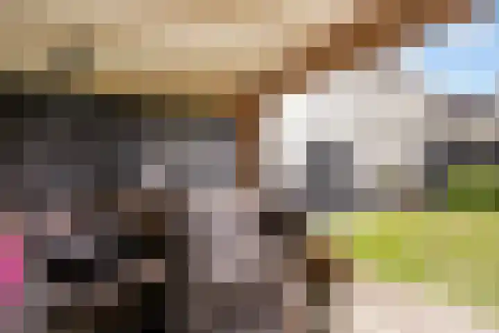 Maaspolder 58 Houten thumbnail 74