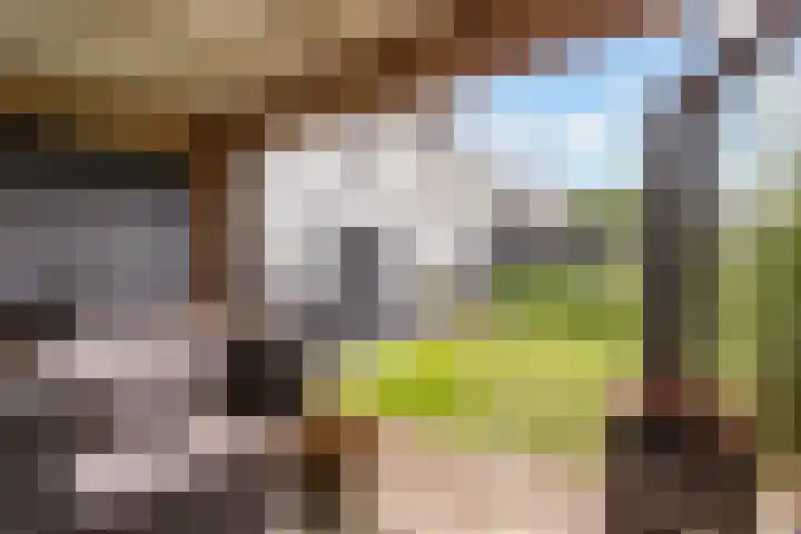 Maaspolder 58 Houten thumbnail 76