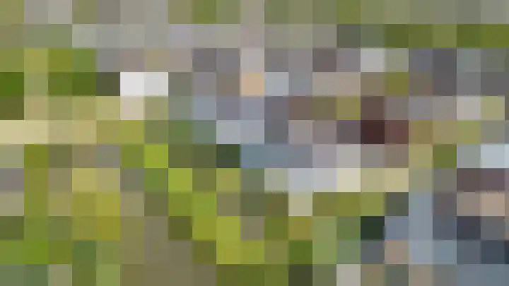Maaspolder 58 Houten thumbnail 95