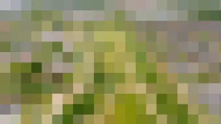 Maaspolder 58 Houten thumbnail 96
