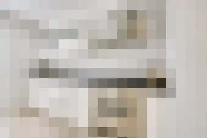 Maaspolder 7 Houten thumbnail 15