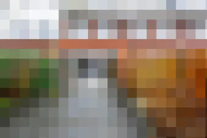 Maaspolder 7 Houten thumbnail 21