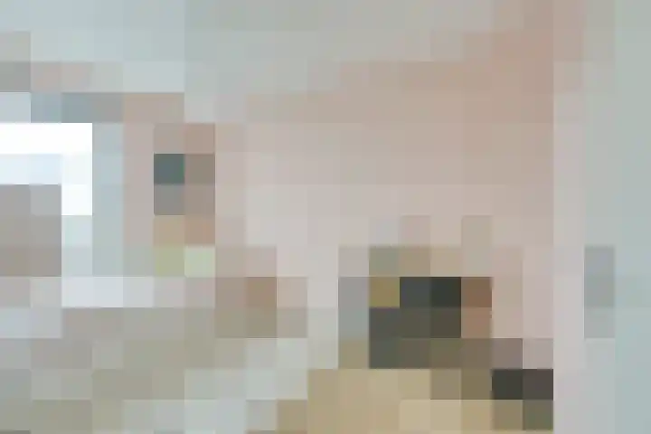 Maaspolder 7 Houten thumbnail 32