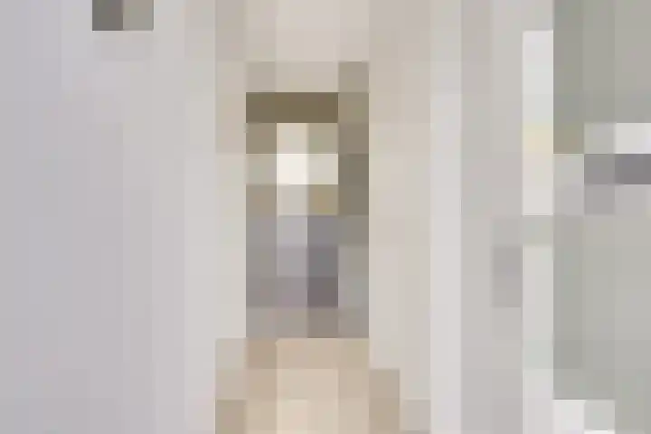 Maaspolder 7 Houten thumbnail 4
