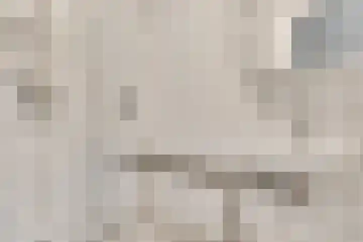Maaspoort 12 Weert thumbnail 14