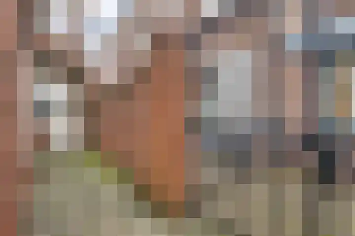 Maaspoort 12 Weert thumbnail 35