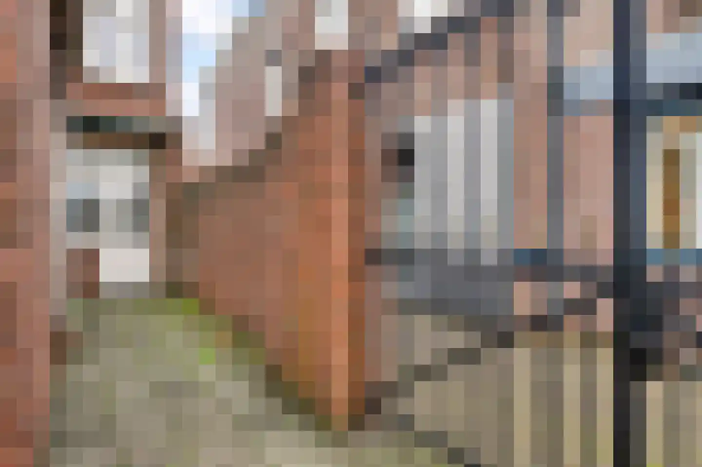 Maaspoort 12 Weert thumbnail 35