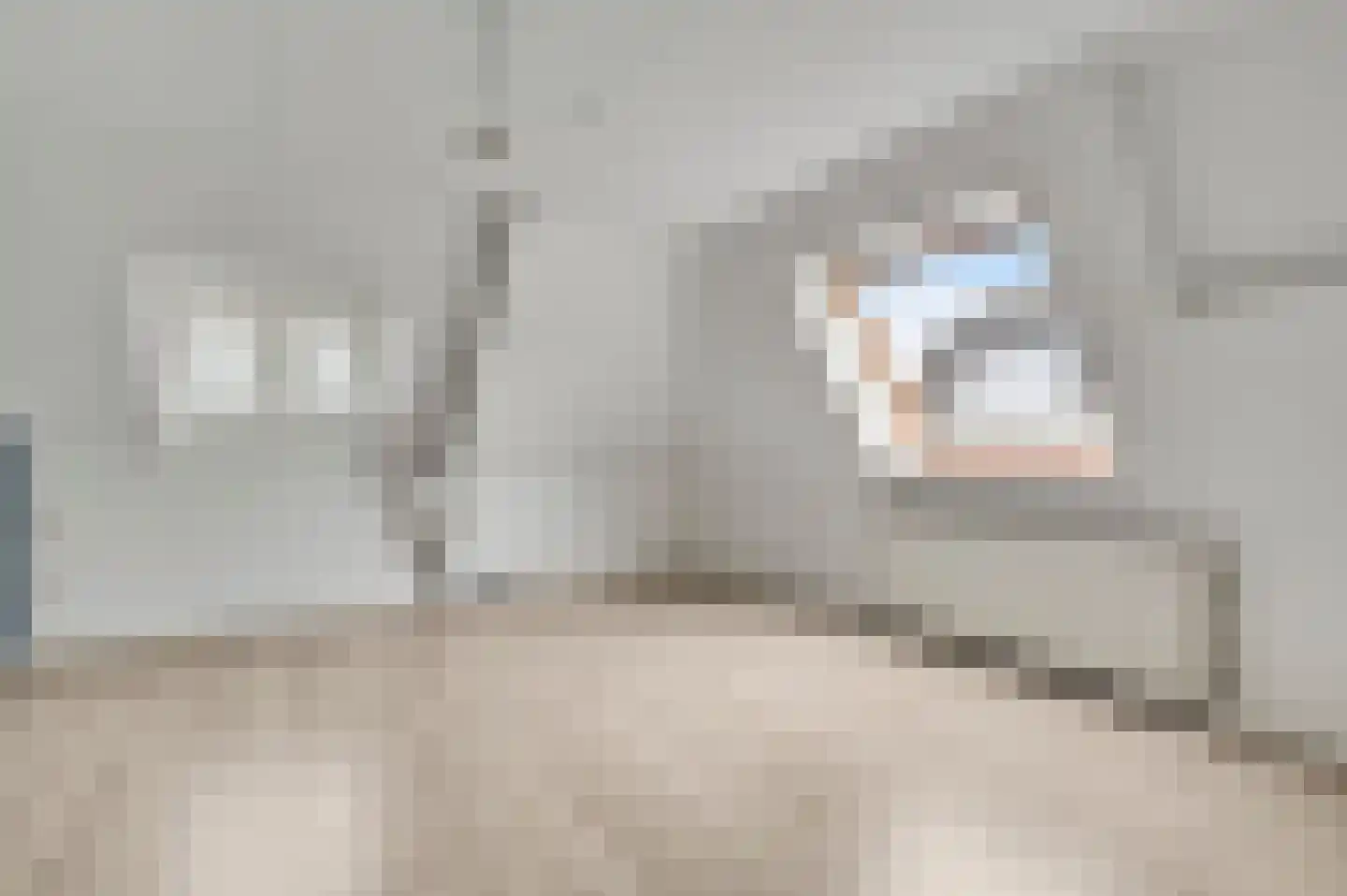 Maaspoort 12 Weert thumbnail 4
