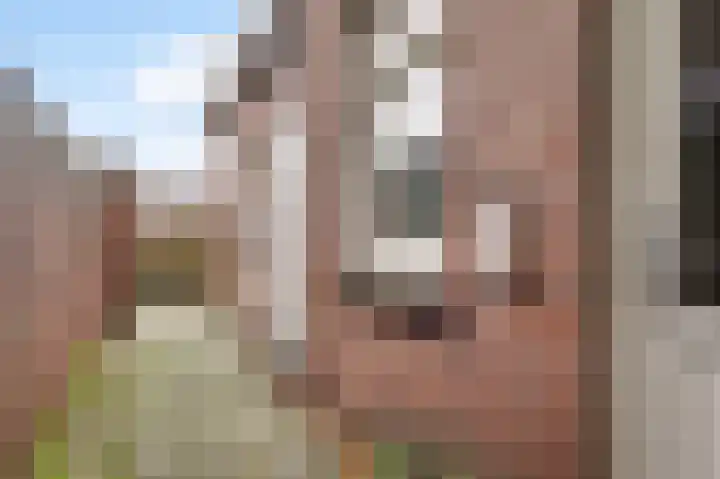 Maaspoort 12 Weert thumbnail 5
