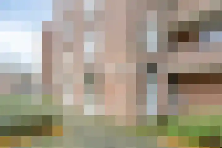 Maaspoortweg 220 's-Hertogenbosch thumbnail 19