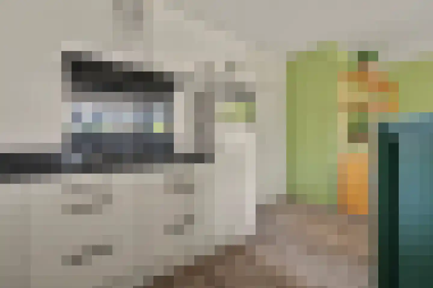 Maaspoortweg 257 's-Hertogenbosch thumbnail 11