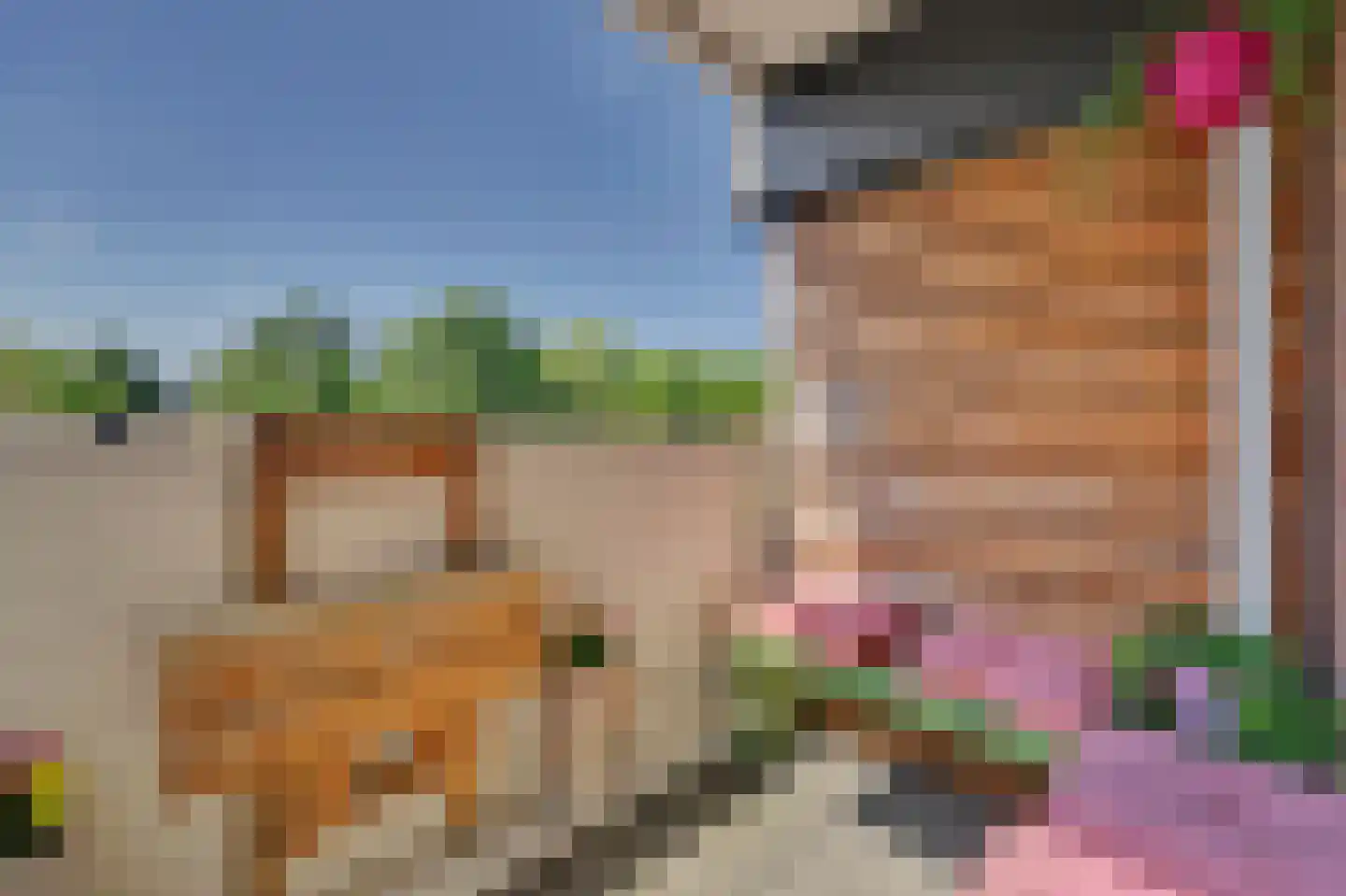 Maaspoortweg 257 's-Hertogenbosch thumbnail 21