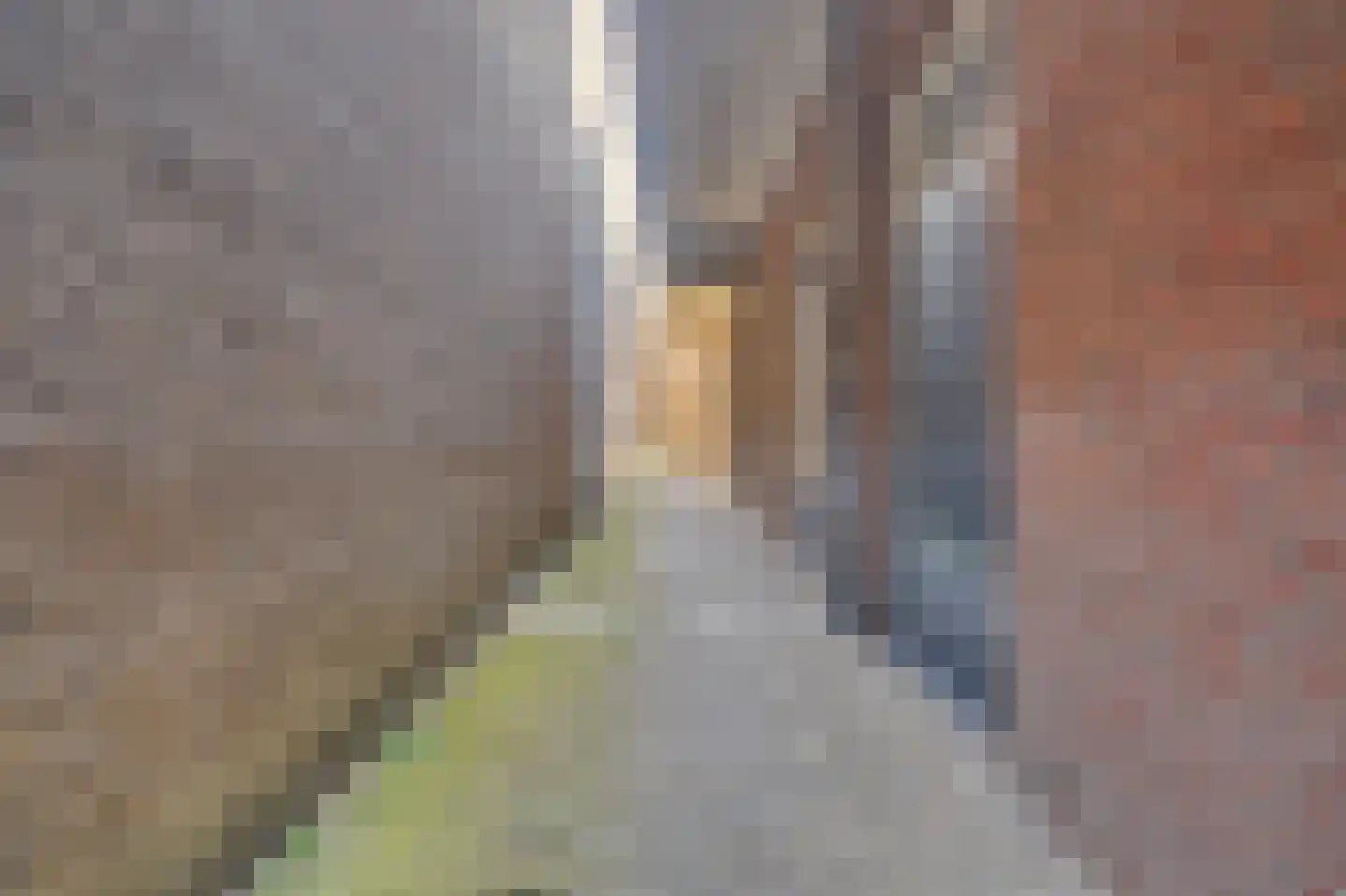 Maaspoortweg 257 's-Hertogenbosch thumbnail 26