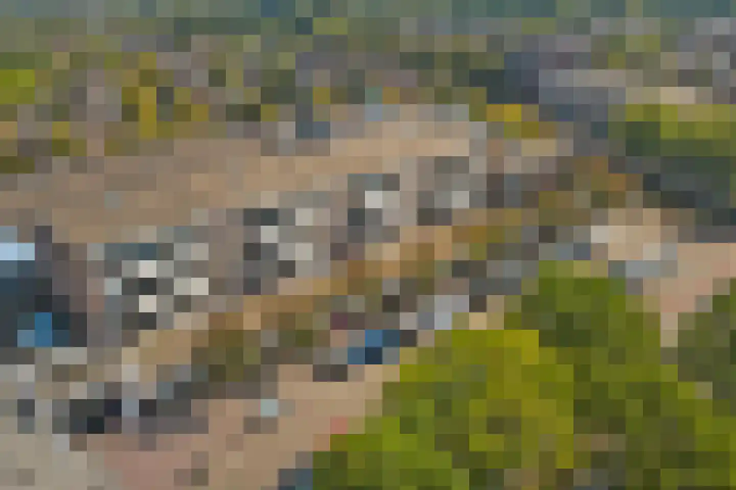 Maaspoortweg 257 's-Hertogenbosch thumbnail 28