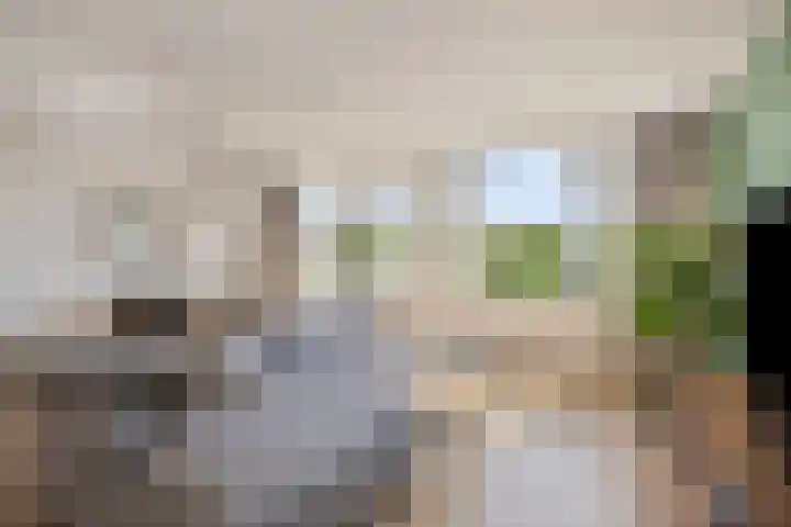 Maaspoortweg 271 's-Hertogenbosch thumbnail 13