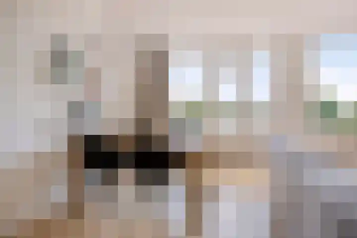Maaspoortweg 271 's-Hertogenbosch thumbnail 16