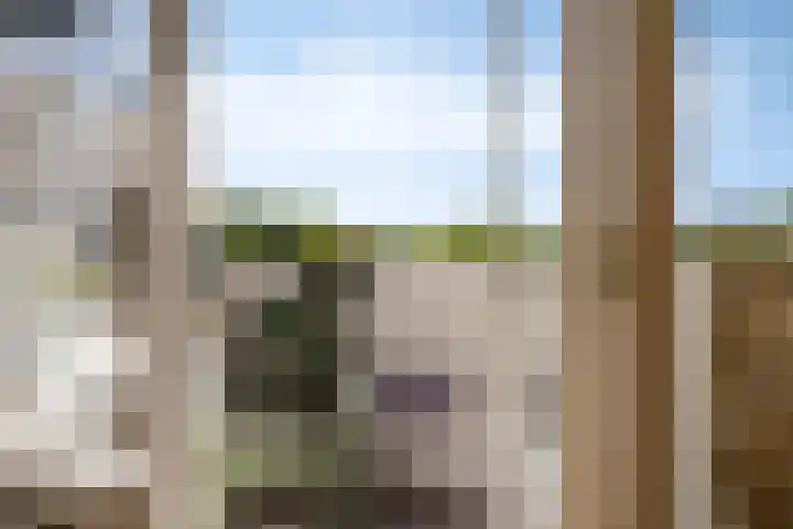 Maaspoortweg 271 's-Hertogenbosch thumbnail 20