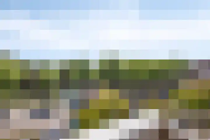 Maaspoortweg 271 's-Hertogenbosch thumbnail 31