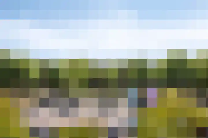 Maaspoortweg 271 's-Hertogenbosch thumbnail 32