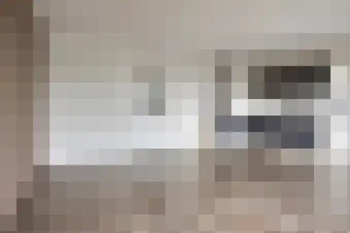 Maaspoortweg 279 's-Hertogenbosch thumbnail 11