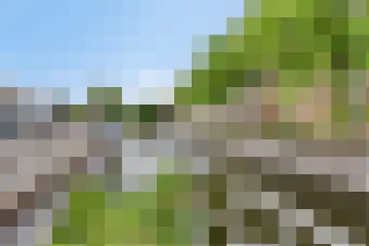Maaspoortweg 279 's-Hertogenbosch thumbnail 17