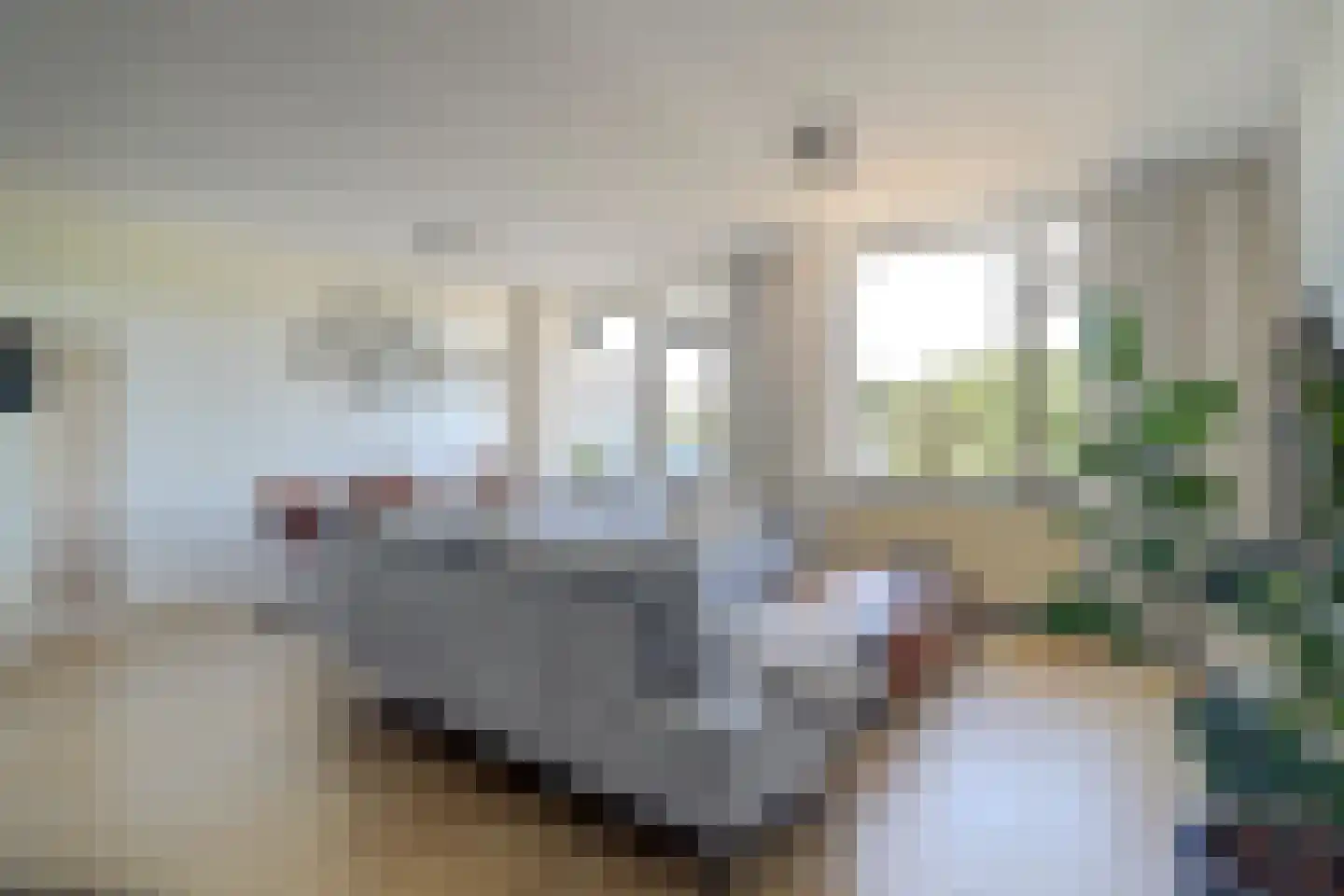 Maaspoortweg 279 's-Hertogenbosch thumbnail 4
