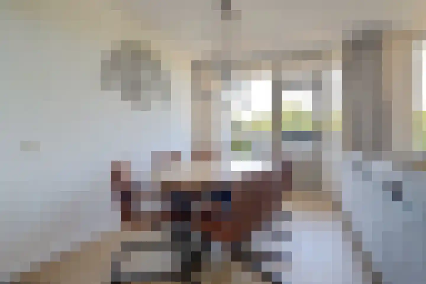 Maaspoortweg 279 's-Hertogenbosch thumbnail 6