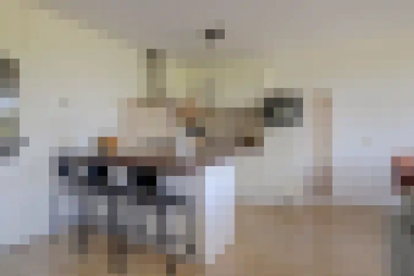 Maaspoortweg 279 's-Hertogenbosch thumbnail 7