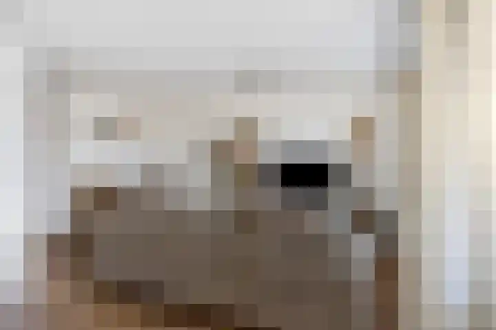 Maaspoortweg 323 's-Hertogenbosch thumbnail 11