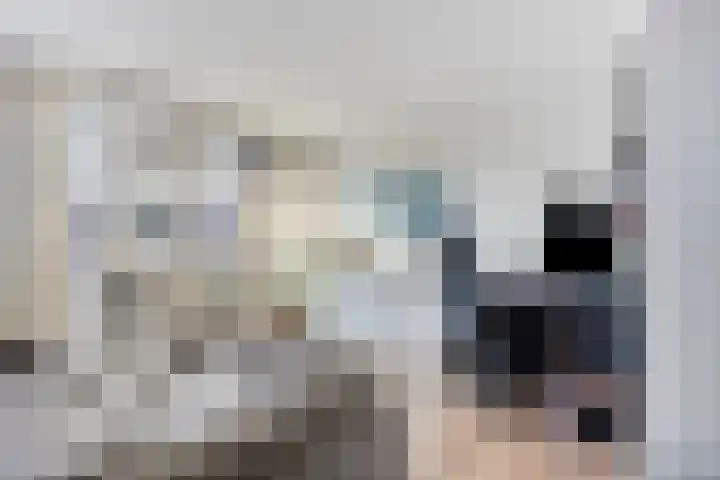 Maaspoortweg 323 's-Hertogenbosch thumbnail 13