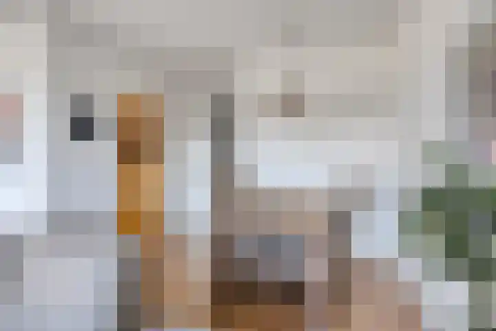 Maaspoortweg 323 's-Hertogenbosch thumbnail 16