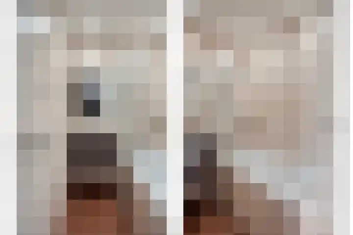 Maaspoortweg 323 's-Hertogenbosch thumbnail 25