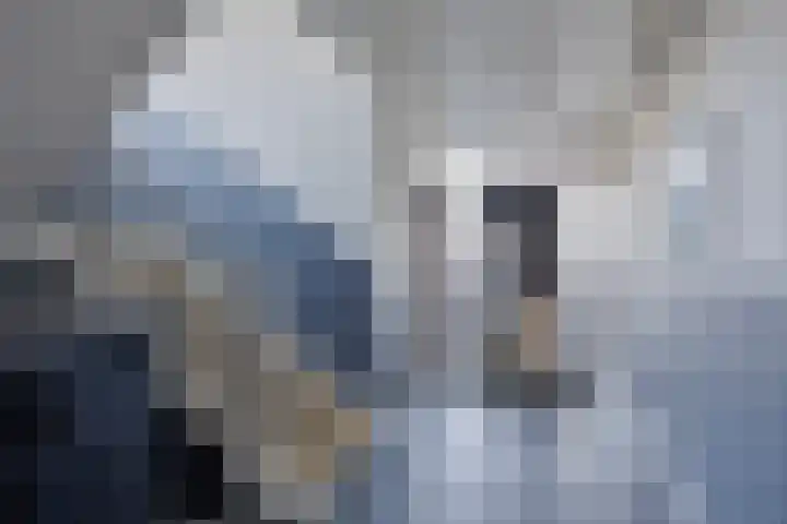 Maaspoortweg 323 's-Hertogenbosch thumbnail 5