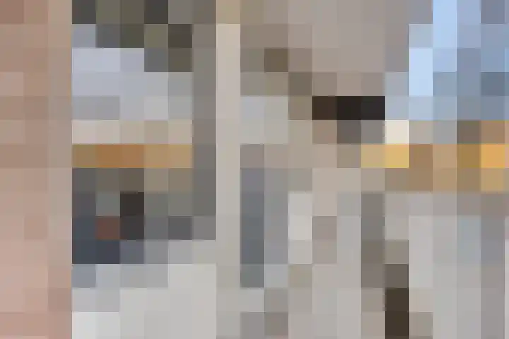 Maaspoortweg 323 's-Hertogenbosch thumbnail 6