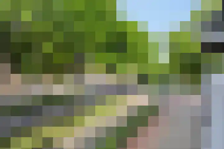 Maaspoortweg 327 's-Hertogenbosch thumbnail 10