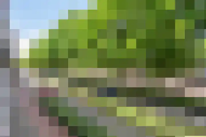 Maaspoortweg 327 's-Hertogenbosch thumbnail 11