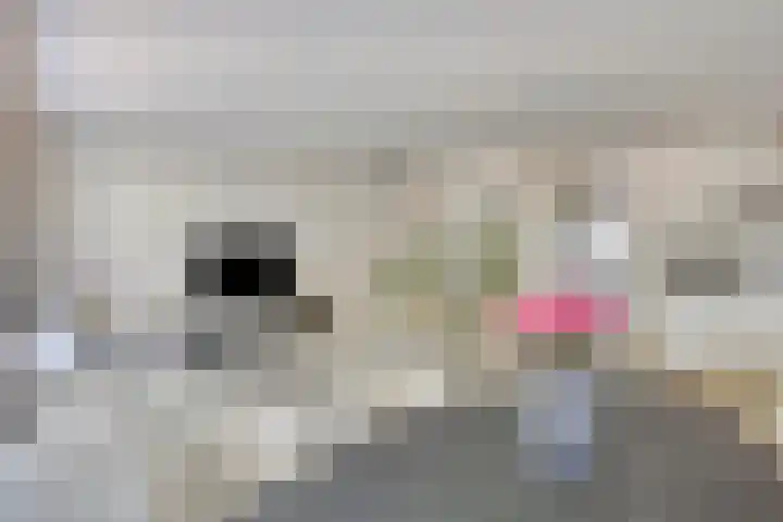 Maaspoortweg 327 's-Hertogenbosch thumbnail 12