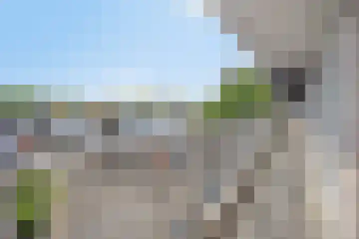 Maaspoortweg 327 's-Hertogenbosch thumbnail 19