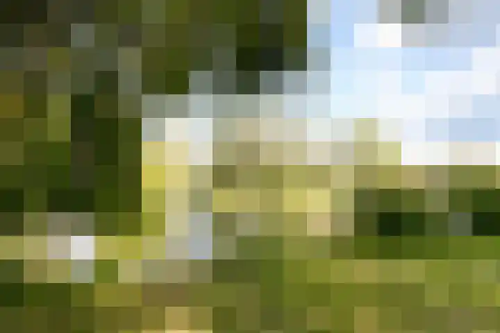 Maaspoortweg 327 's-Hertogenbosch thumbnail 21