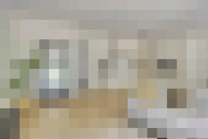 Maaspoortweg 327 's-Hertogenbosch thumbnail 5