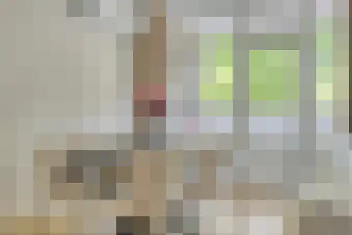 Maaspoortweg 327 's-Hertogenbosch thumbnail 7