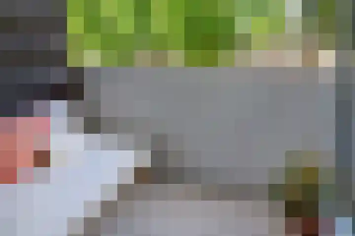 Maaspoortweg 327 's-Hertogenbosch thumbnail 8