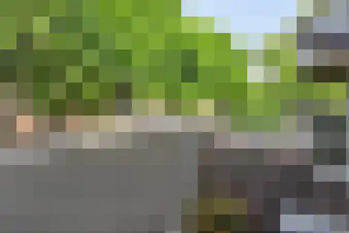 Maaspoortweg 327 's-Hertogenbosch thumbnail 9