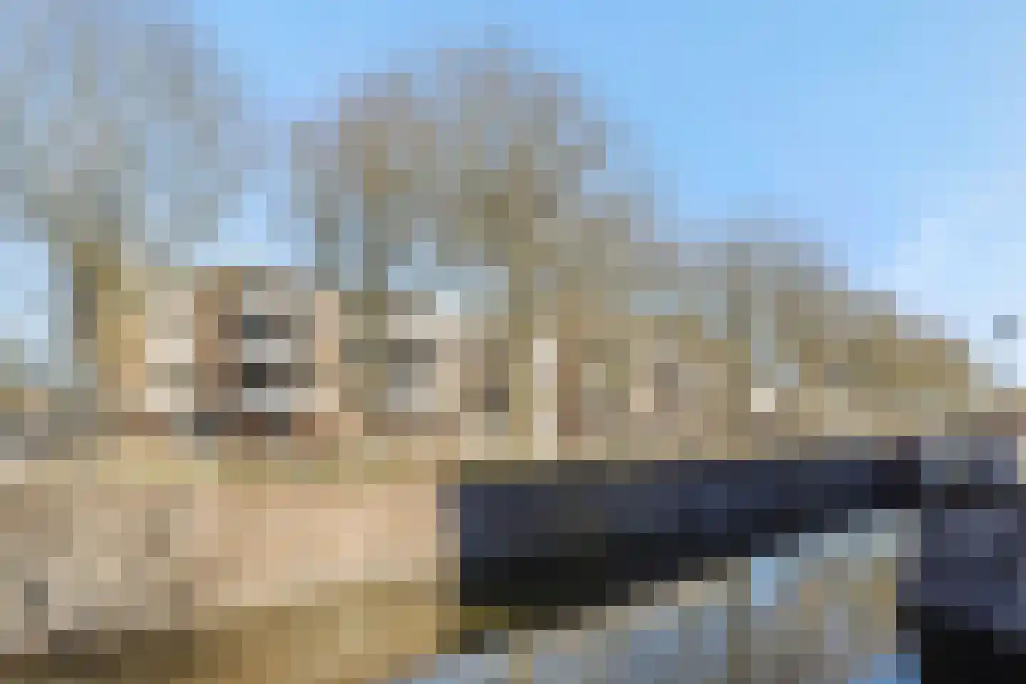 Maaspoortweg 329 's-Hertogenbosch thumbnail 23